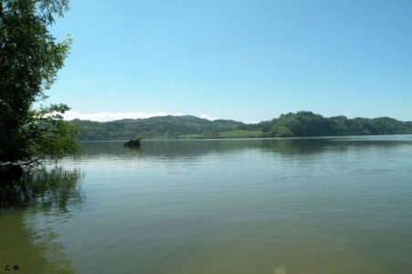 image005