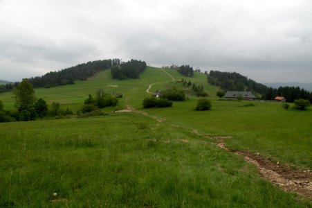 image006