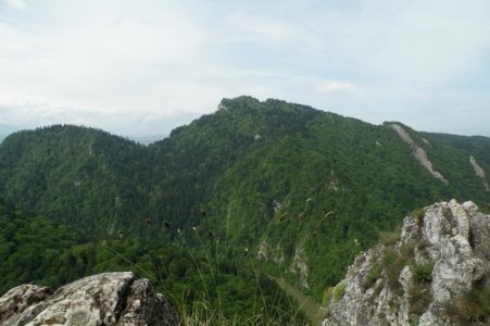 image010