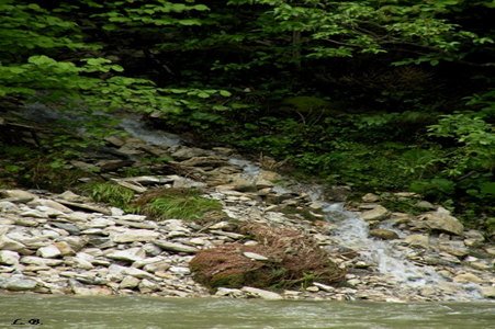 image017