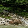 image017