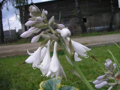 p1010136
