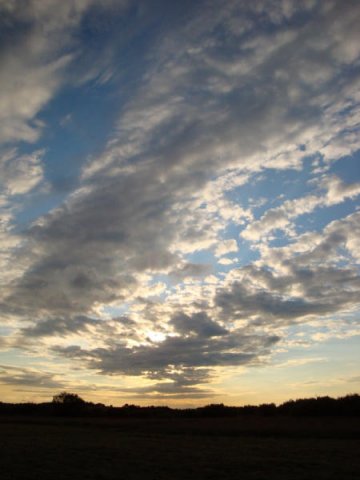 dsc01249