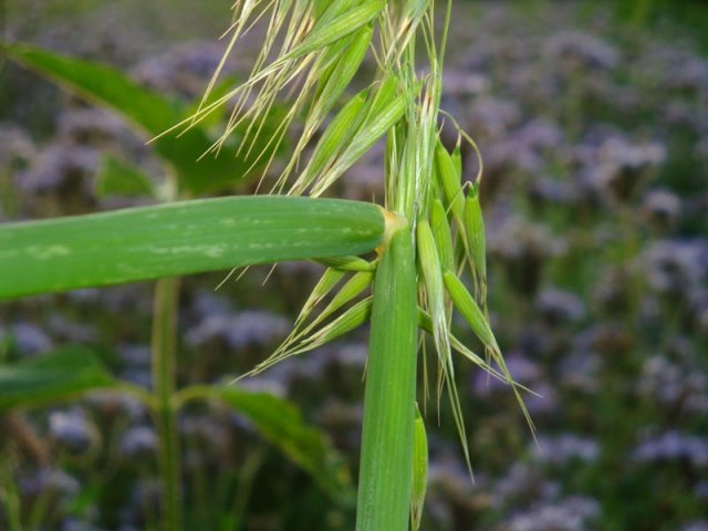 dsc01261