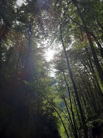 Słowacja