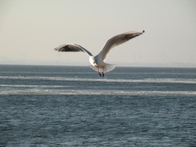 dscn1279