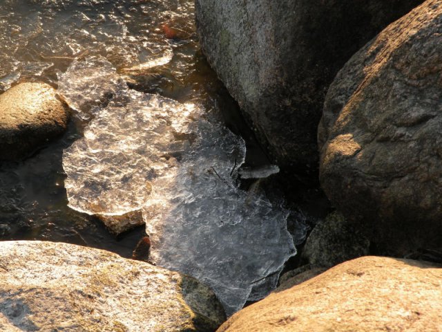 dscn1412