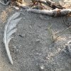 dscn1126
