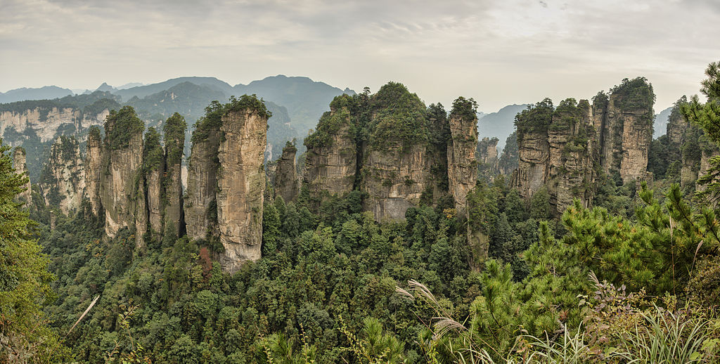 chensiyuan || commons.wikimedia.org